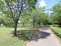 大百池公園