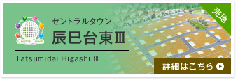 セントラルタウン辰巳台東Ⅲ