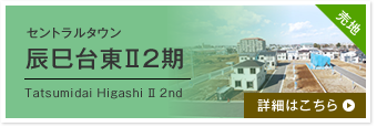 セントラルタウン辰巳台東Ⅱ2期