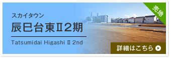 スカイタウン辰巳台東Ⅱ2期